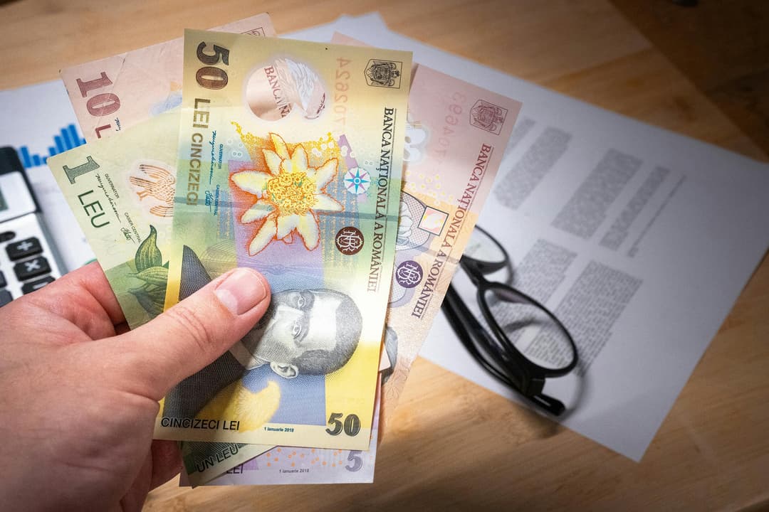 Raport FMI și Banca Mondială: ce spun experții despre perspectivele României