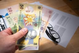 Raport FMI și Banca Mondială: ce spun experții despre perspectivele României