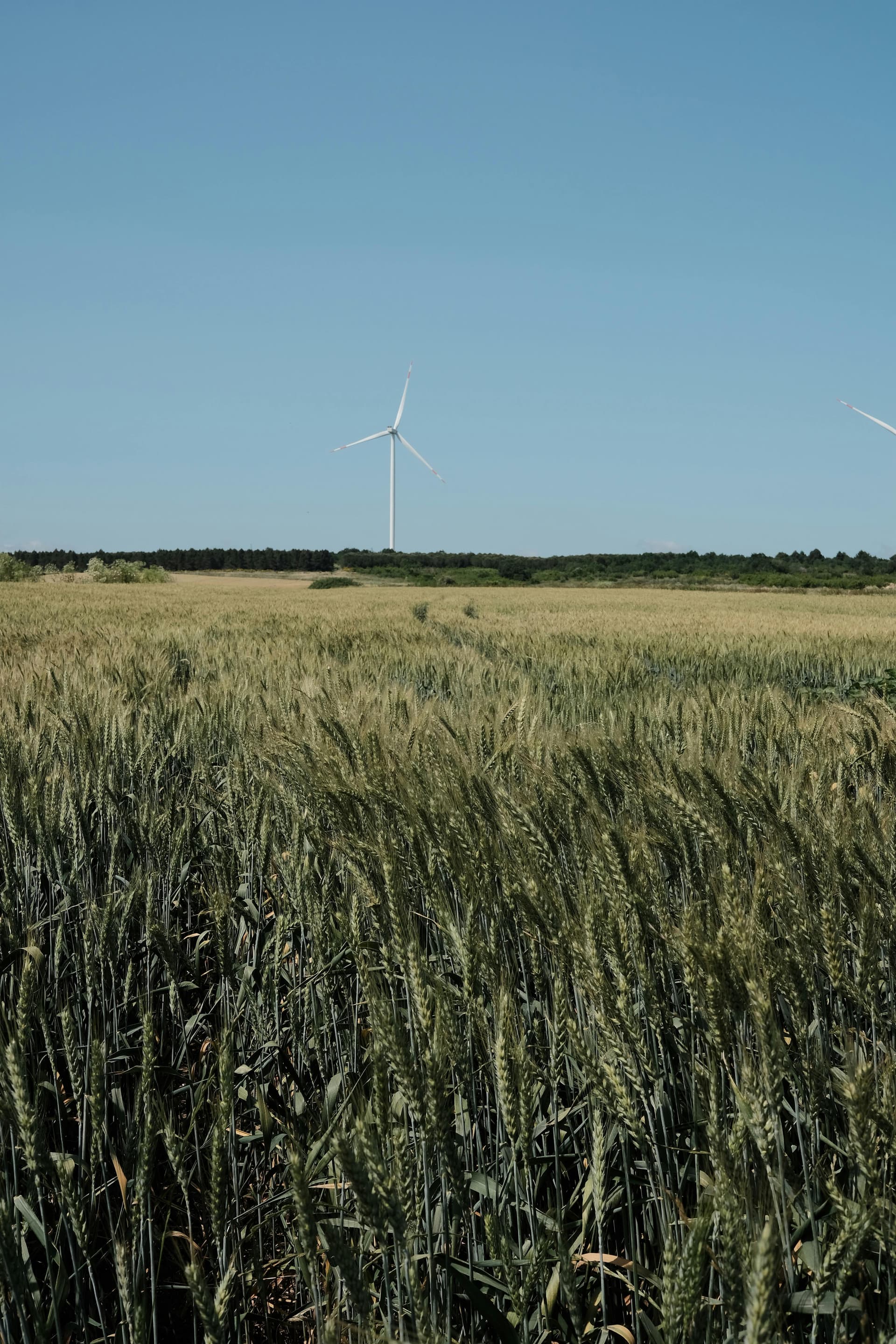 Green investments: cum profităm de energia regenerabilă