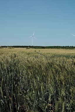 Green investments: cum profităm de energia regenerabilă