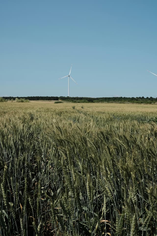 Green investments: cum profităm de energia regenerabilă