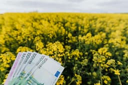 Randamentele investițiilor în terenuri agricole