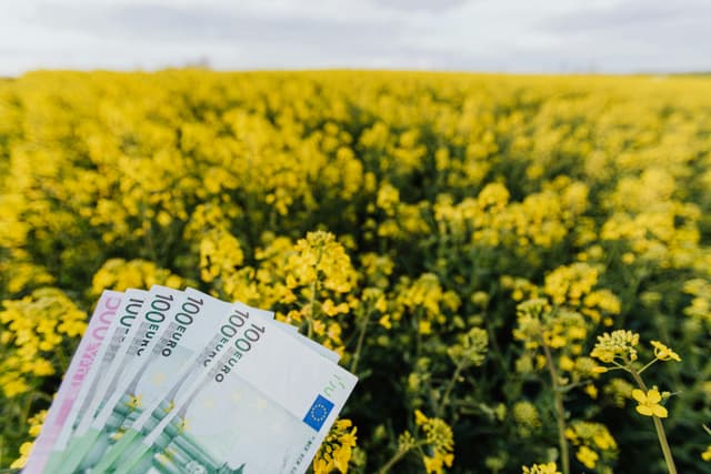 Randamentele investițiilor în terenuri agricole