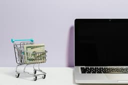 Cum să economisești bani la cumpărăturile online