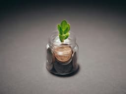 Ce înseamnă un stil de viață financiar sustenabil