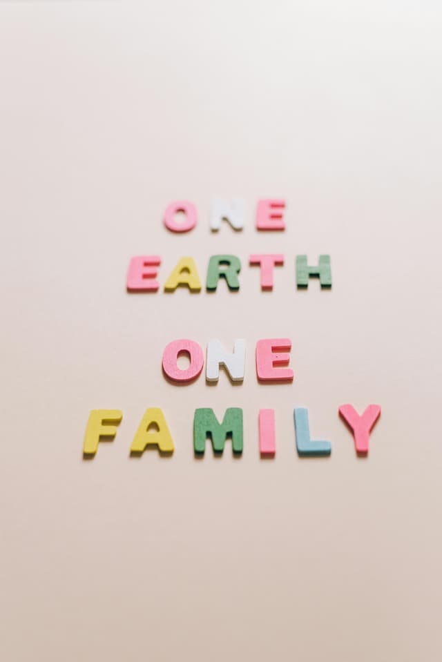One United Properties: Dezvoltări imobiliare sustenabile în București