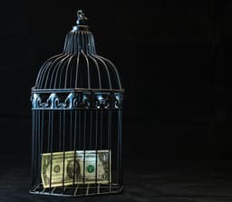 Cum să eviți & să recunoști capcanele financiare