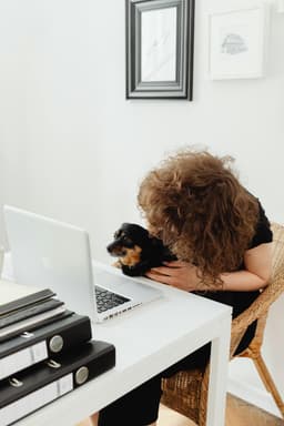 Costurile reale ale animalelor de companie și cum le gestionezi